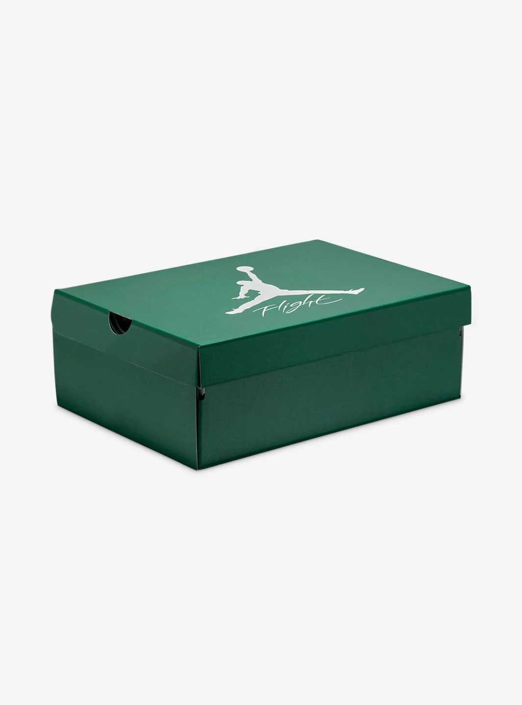 Air Jordan 4 Retro Oxidized Green - Image 7