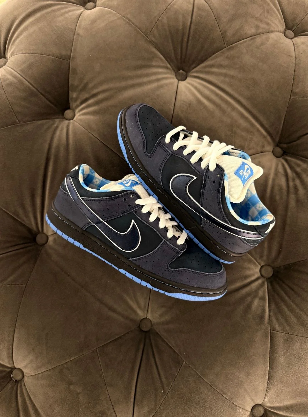 Nike SB Dunk Low Concepts Blue Lobster - Usato 9/10 - Image 4