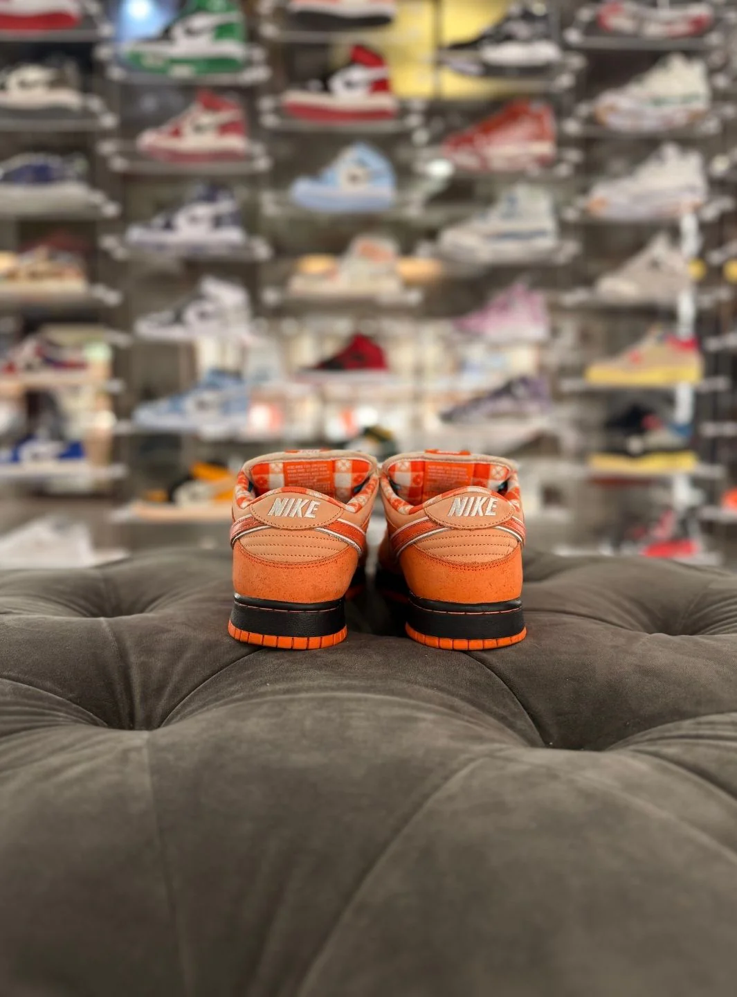 Nike SB Dunk Low Concepts Orange Lobster - Usato 8/10 - Image 4