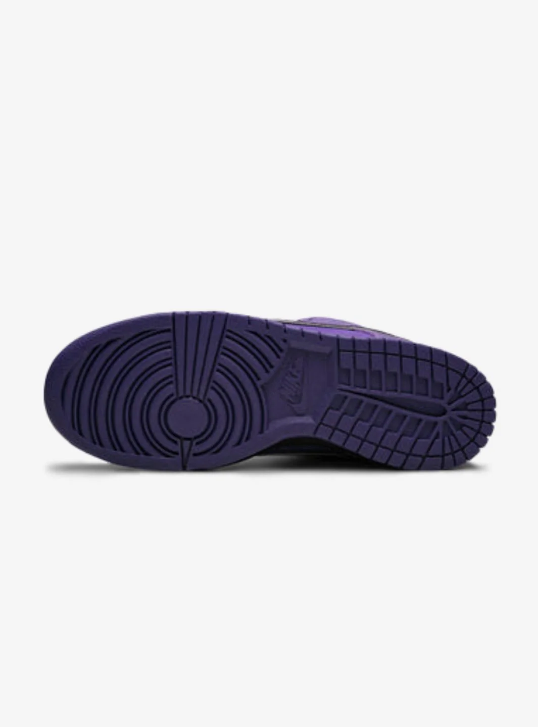 Nike SB Dunk Low Concepts Purple Lobster (Special Box) - Image 4