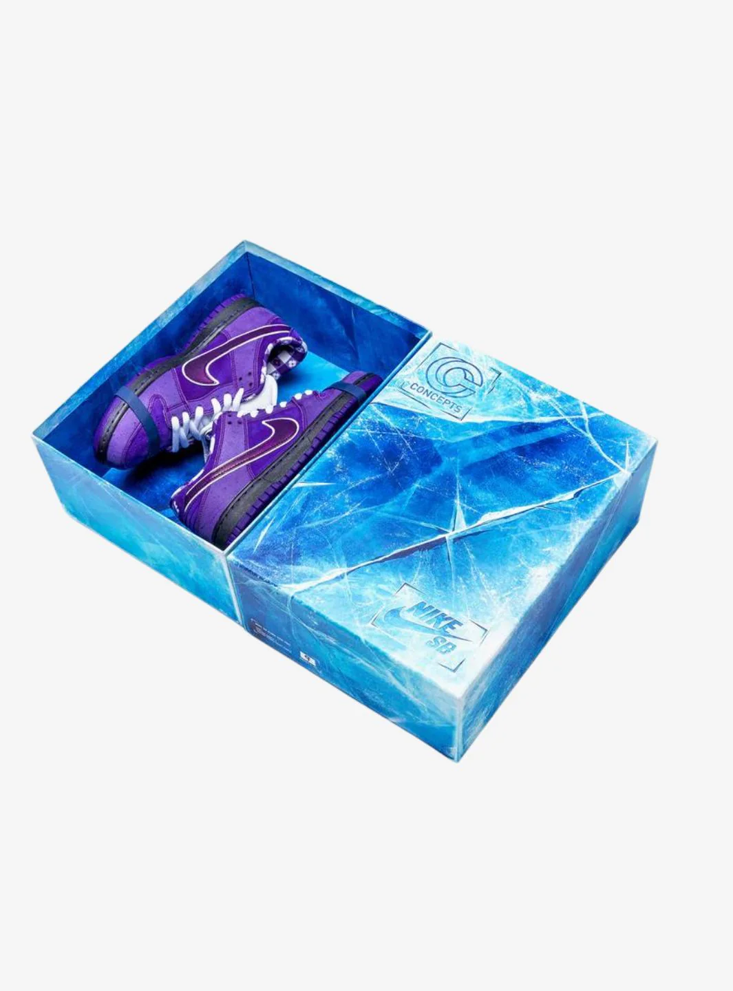 Nike SB Dunk Low Concepts Purple Lobster (Special Box) - Image 7